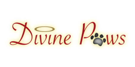 Divine Paws